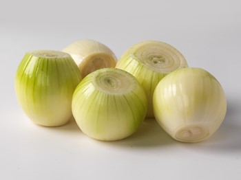 LÖK GUL SKALAD
